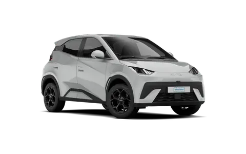 BYD DOLPHIN MINI (imagen ilustrativa)